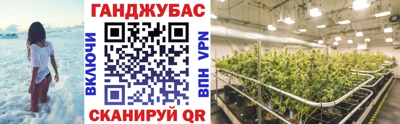 где купить наркоту  Абдулино  Конопля гибрид 